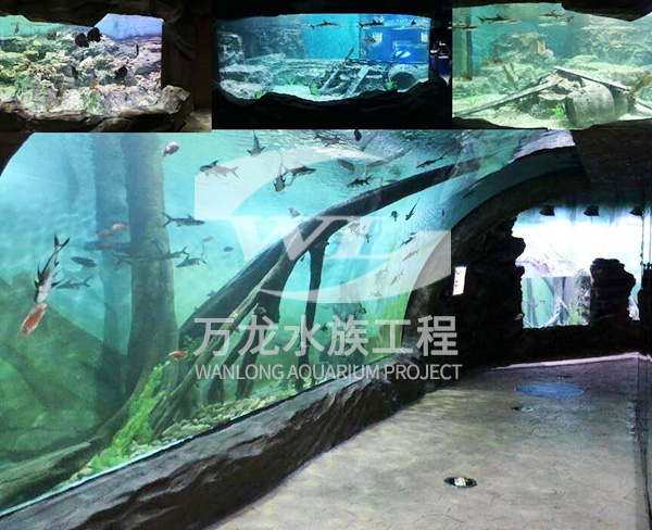 水族工程需要什么样的过滤设备？