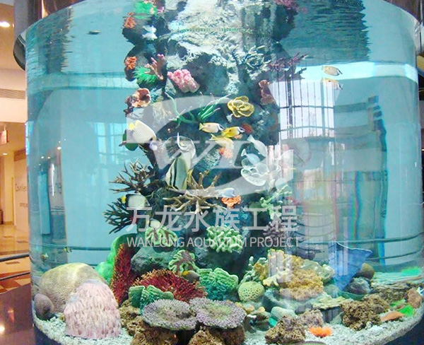 上海大型亚克力鱼缸