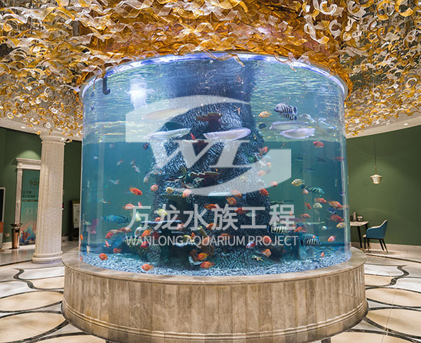 观赏鱼缸的形状有哪些选择？