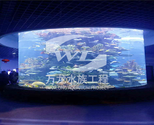 上海大型亚克力鱼缸