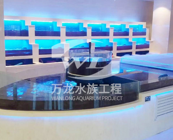 负压鱼缸如何选择合适的过滤器？