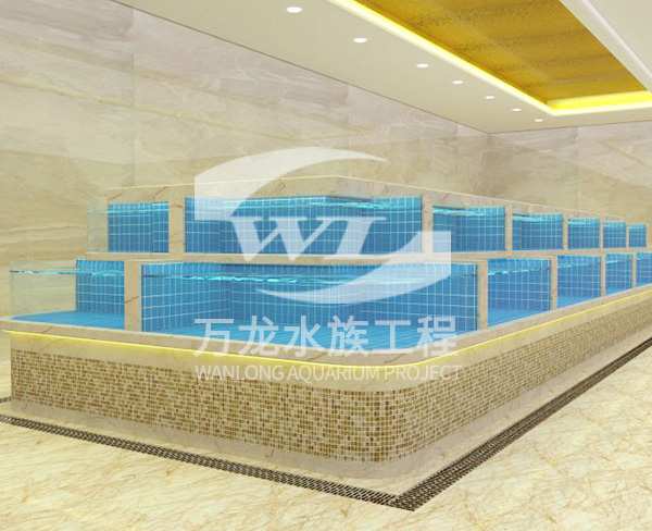 大型亚克力鱼缸适合养什么类型的鱼？