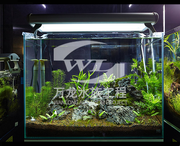 上海负压鱼缸