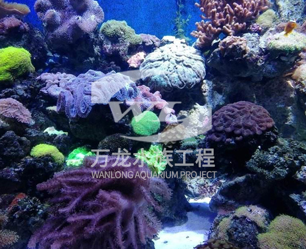 上海海底景观设计