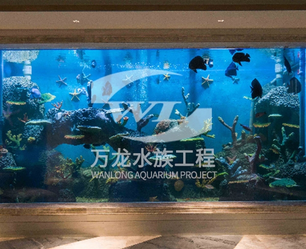 上海诸暨御江湾海底景观设计