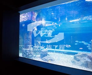 上海大型亚克力...