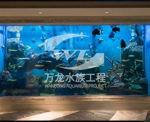 上海海底景观设计