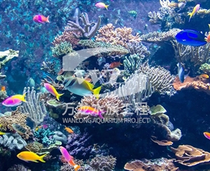 上海海底景观设计