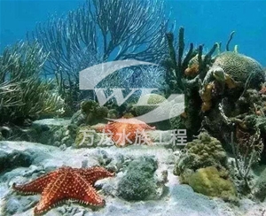 上海海底景观设计