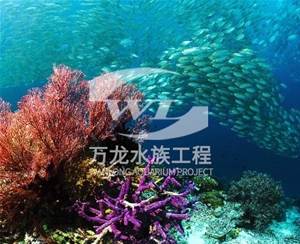 上海海底景观设计