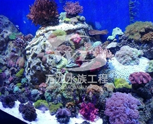 上海海底景观设计